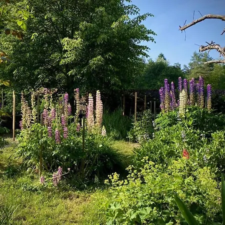 Country House Maison Forestiere
